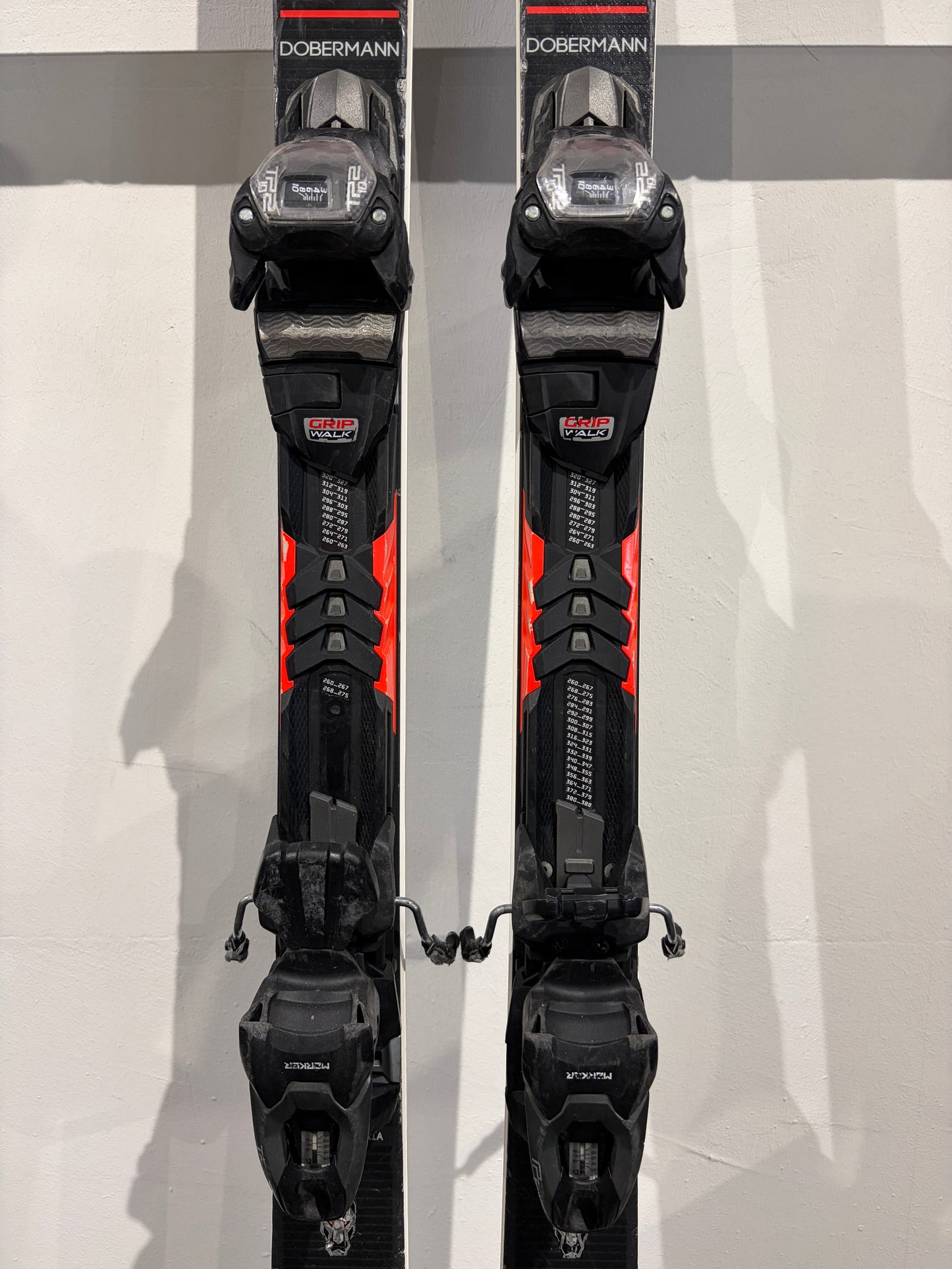 Nordica Dobermann GSR 170cm