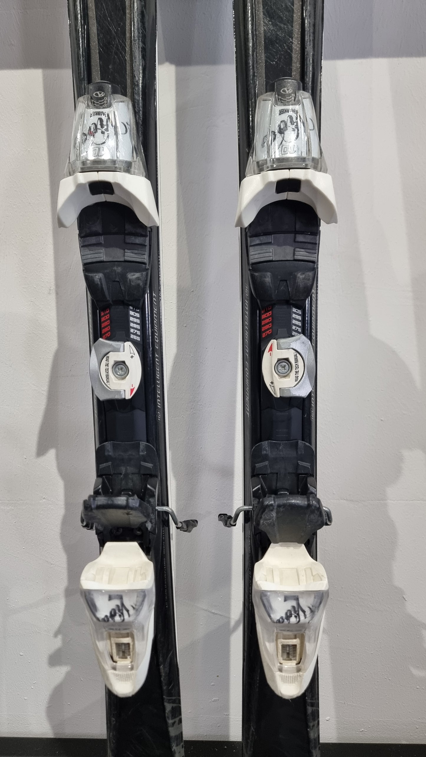 Blizzard Viva Sport 160cm